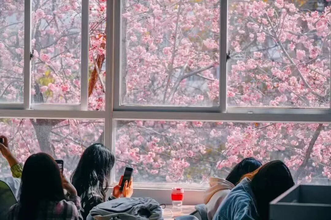 排名揭晓！国际足联世界杯全国10强‼️ 第 15 张